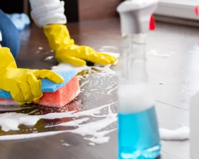 house cleaning (2)