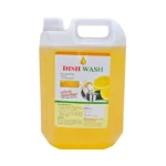 Dish Wash